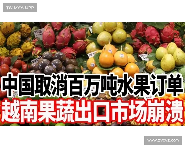 突发!越南传来震惊消息,全球市场或面临重大冲击!(越南现象) 突发!越南传来震惊消息,全球市场或面临重大冲击!(越南现象)