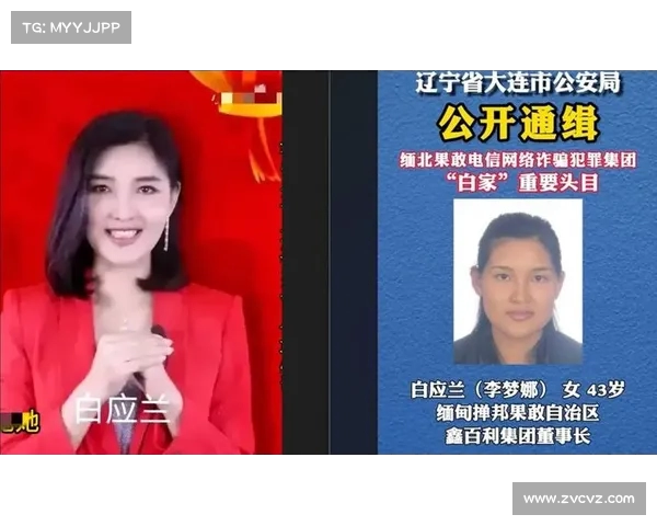 缅北女魔头白应兰:帅哥遭遇侮辱,勇敢反击却选择自断腰子 缅北女魔头白应兰:帅哥遭遇侮辱,勇敢反击却选择自断腰子