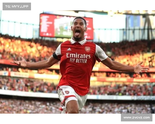 英格兰足球超级联赛：阿森纳后卫萨利巴解围救险