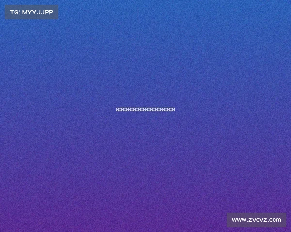 费南多租借加盟申花:新篇章开启,球迷期待他的表现